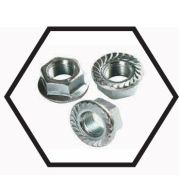 Flange Nuts – Serrated and Plain Flange Hex Nuts for Even Load Distribution on Joints in Automotive, Machinery and Structural Fastening – Mild Steel and High Tensile Steel, Metric and Inch Threads, Zinc Plated or HDG Finish